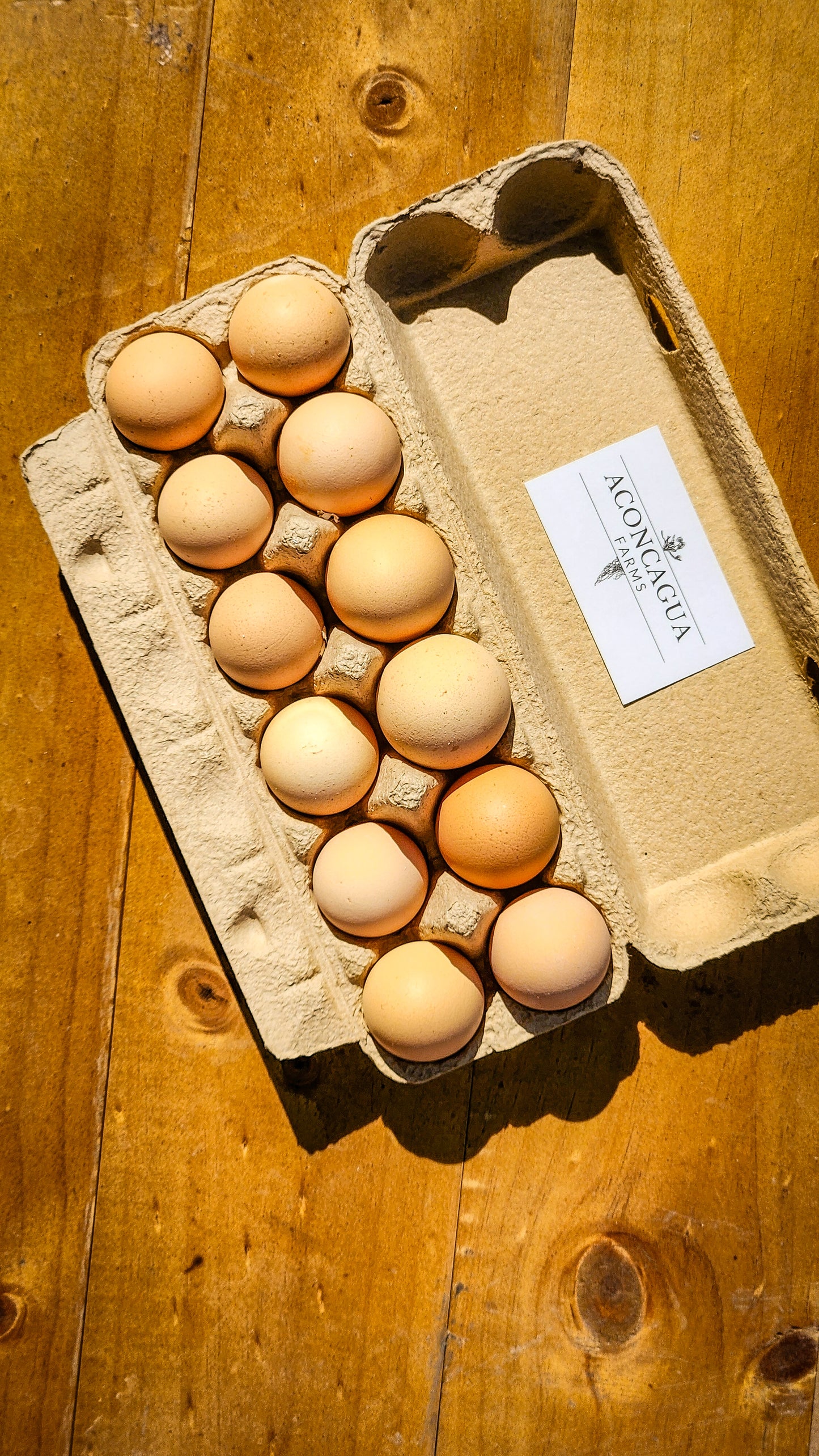 Docena Huevos