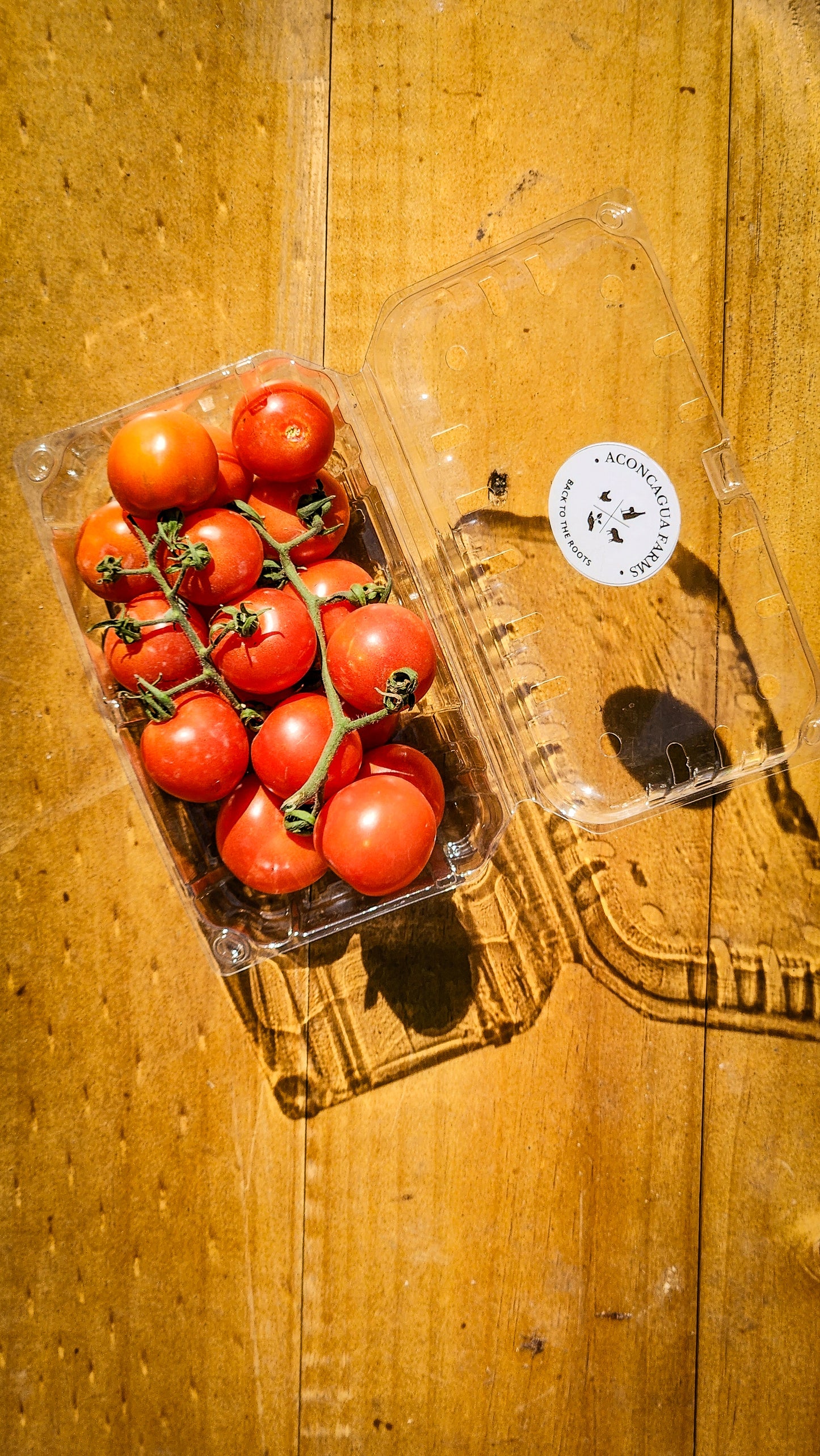 Tomates cherry