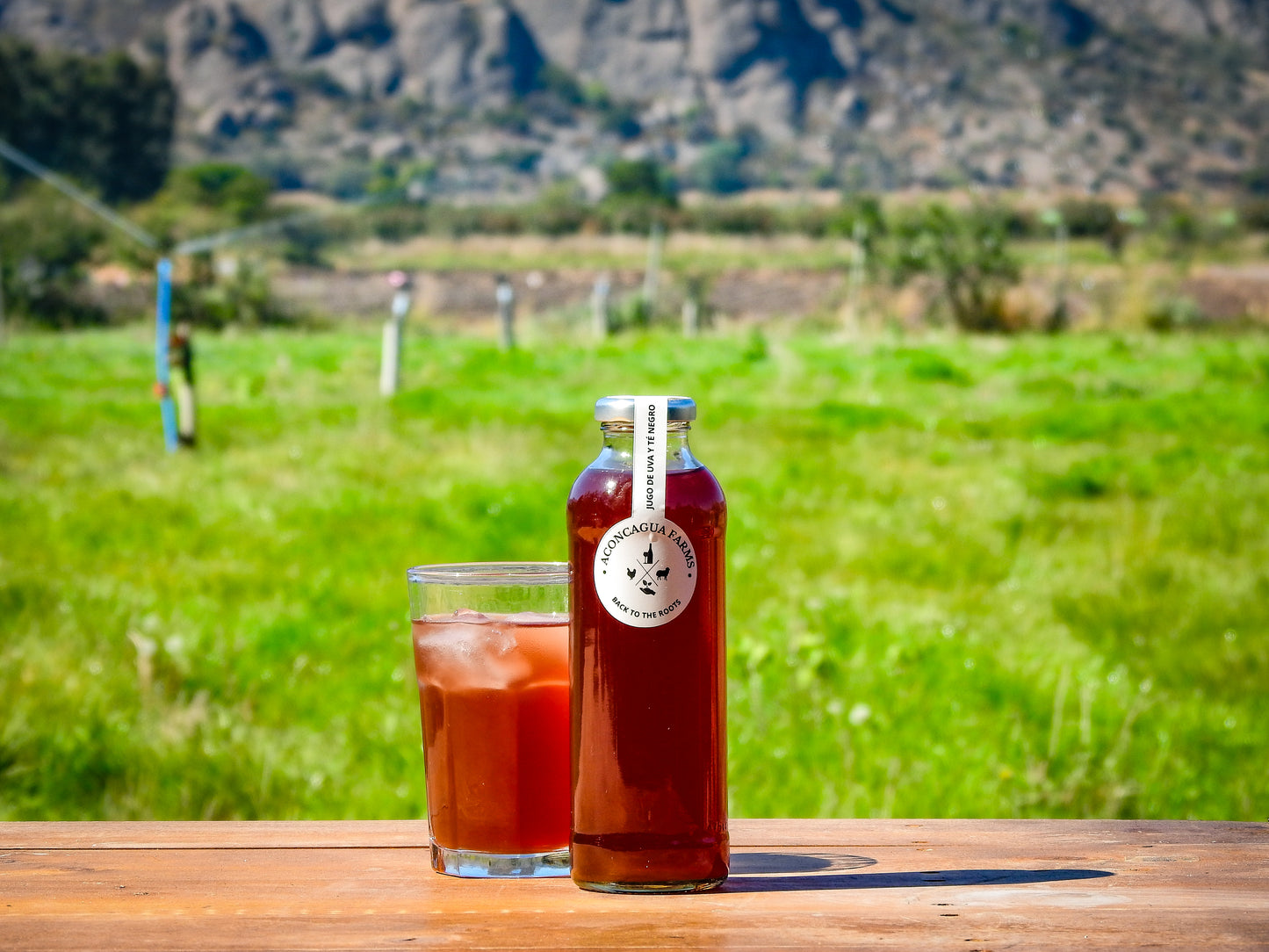 Ice Tea - Jugo de uva y Té Negro