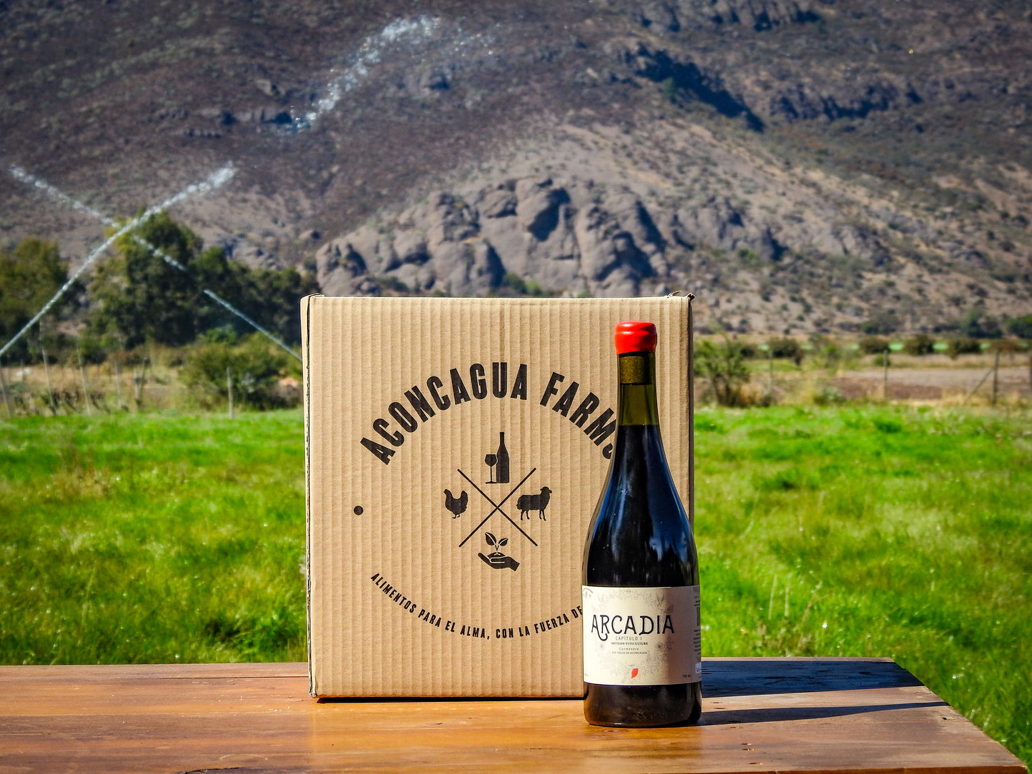 Caja Arcadia
